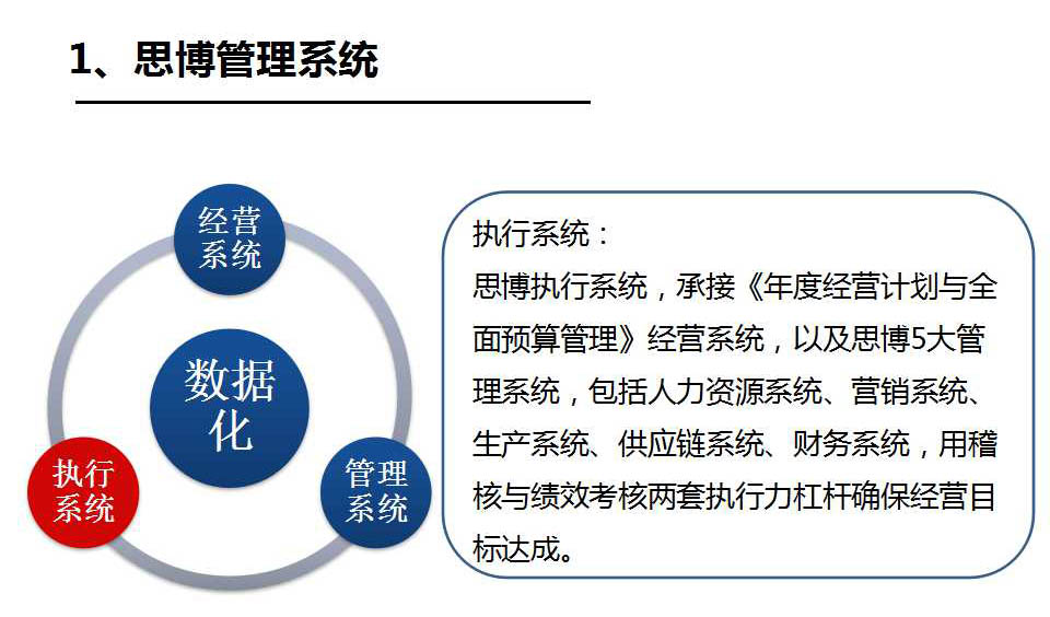 执行力系统简介_深圳 企业管理咨询